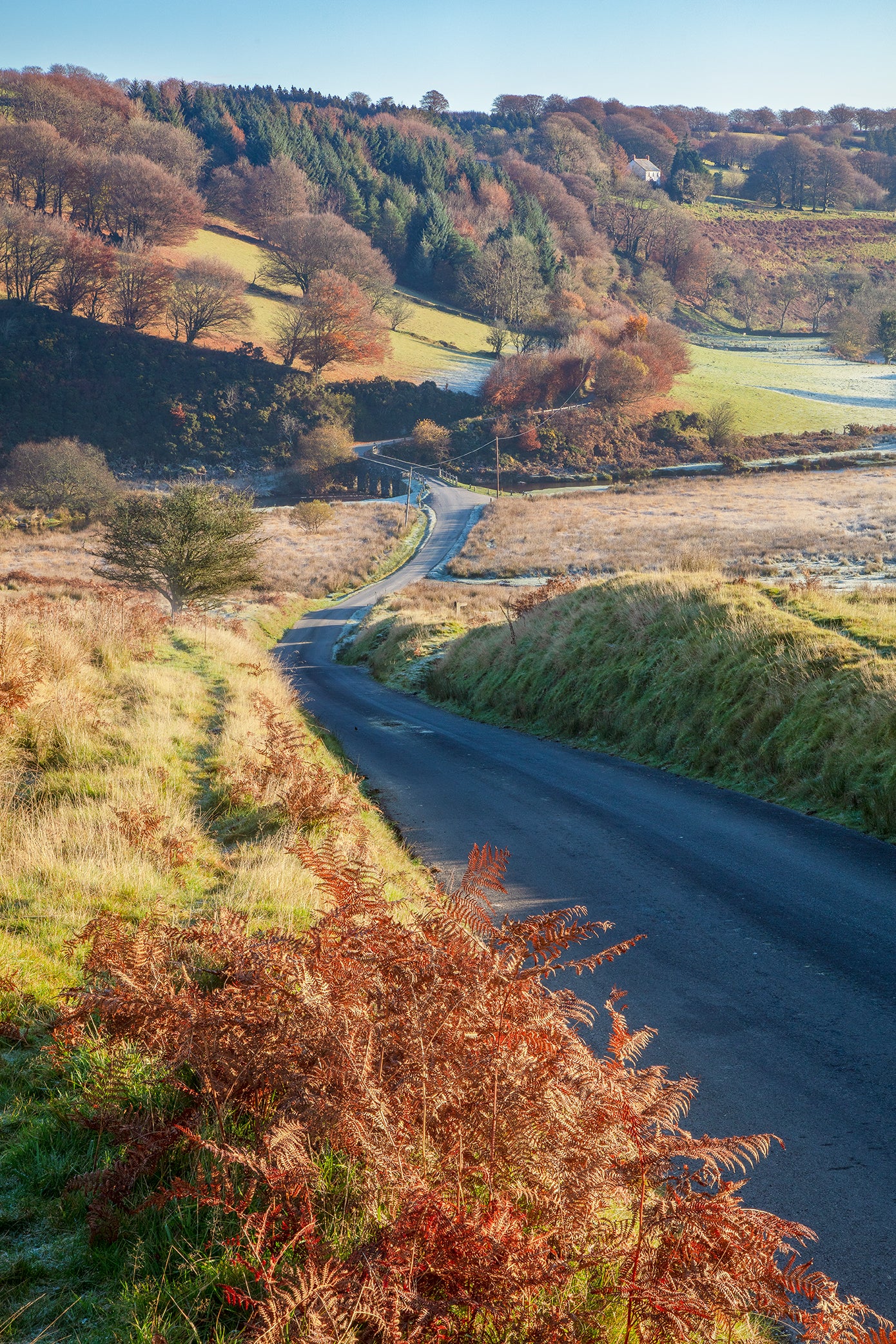 Landacre Bridge Autumn