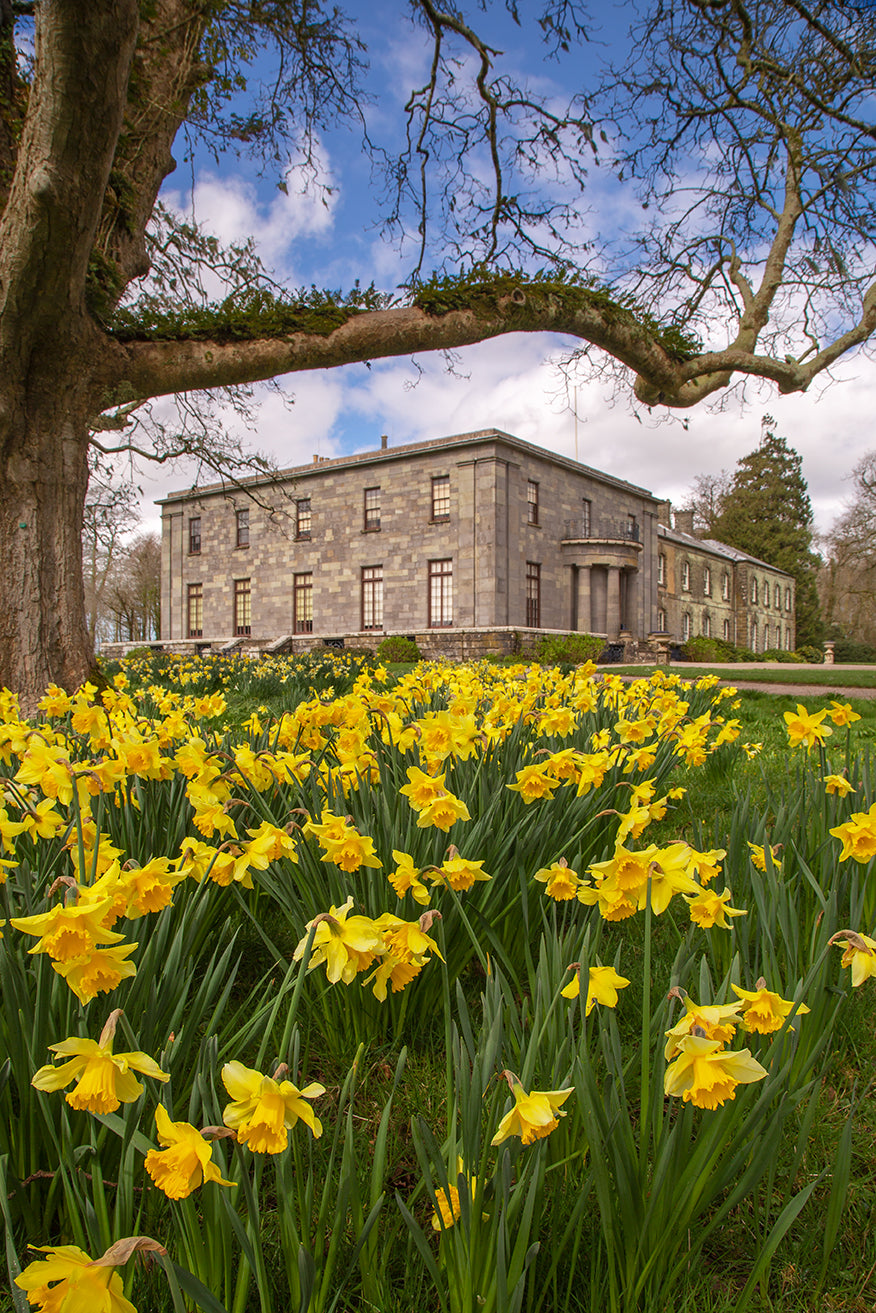 Arlington Court
