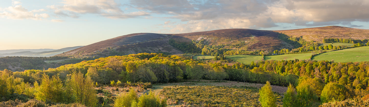 Dunkery Beacon and Horner Woods Panorama
