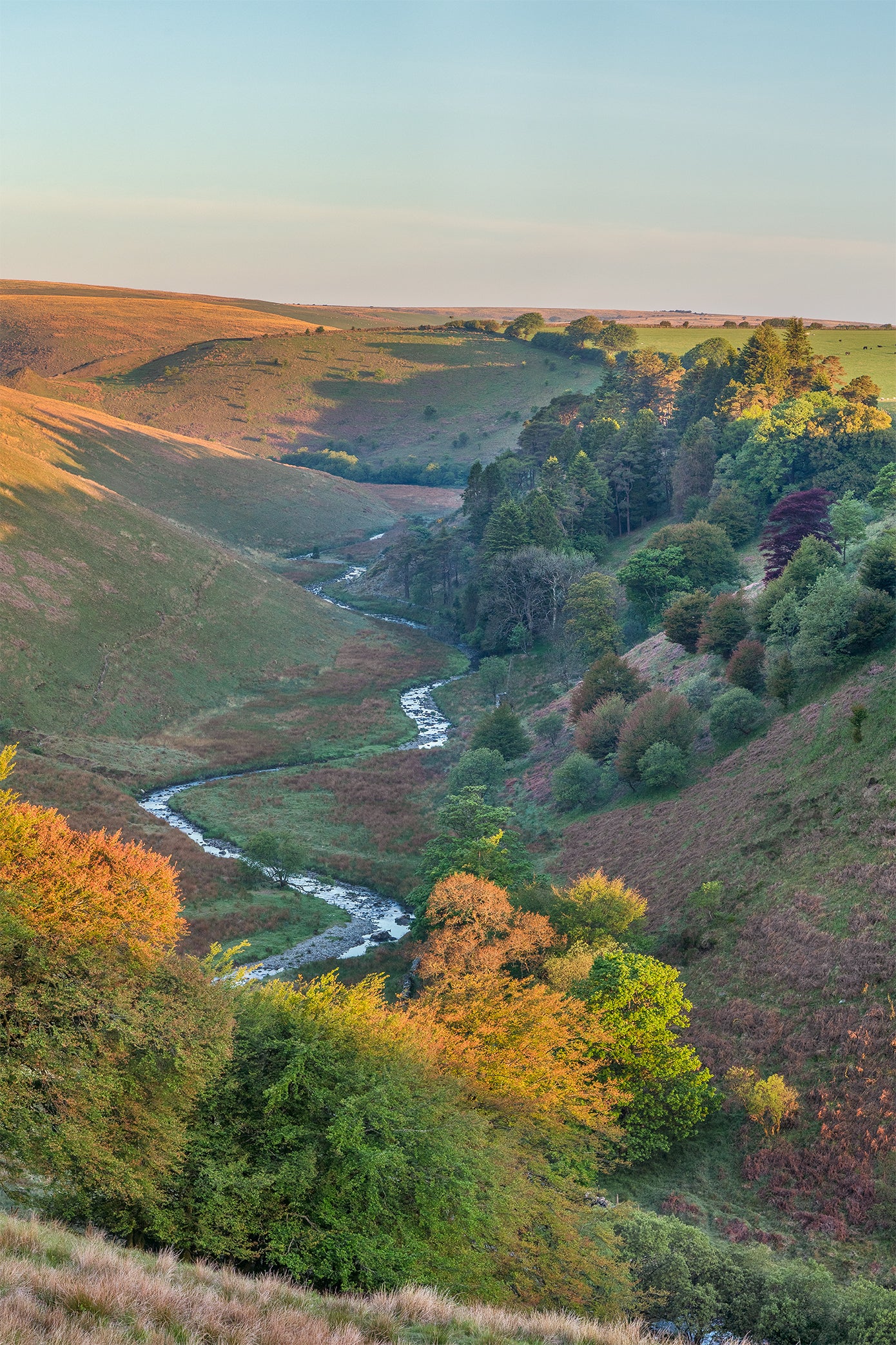 Simonsbath Spring