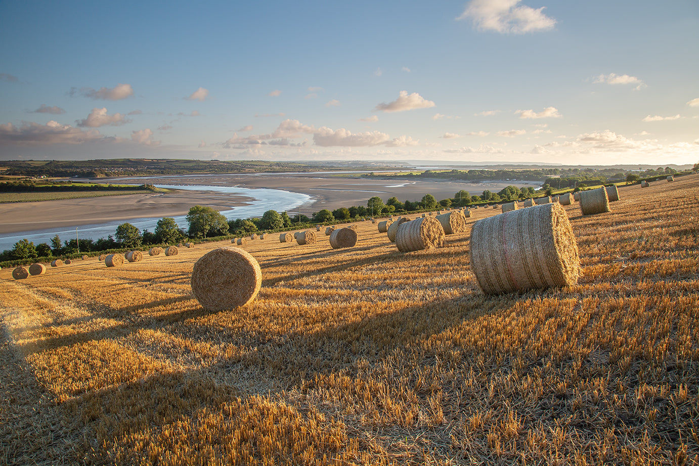River Taw and Towards Fremington