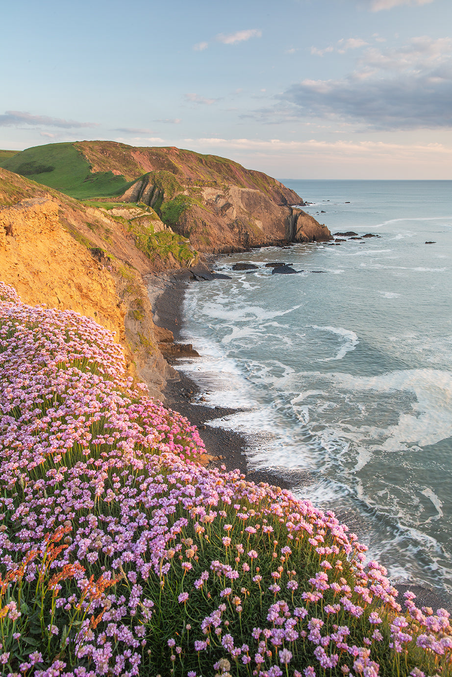 Spekes Mill Mouth flowers