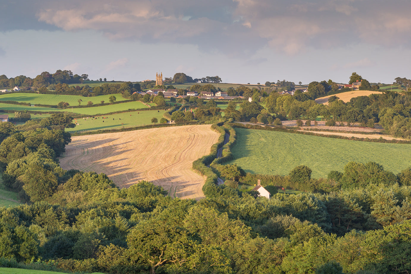 Chittlehampton Summer