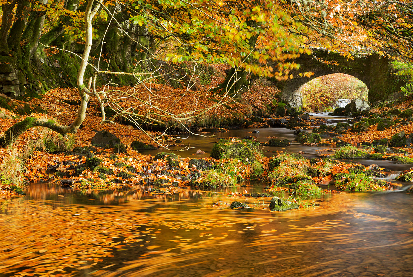 Robber's Bridge at Autumn
