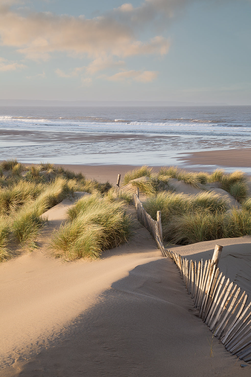 Croyde Beach Dunes