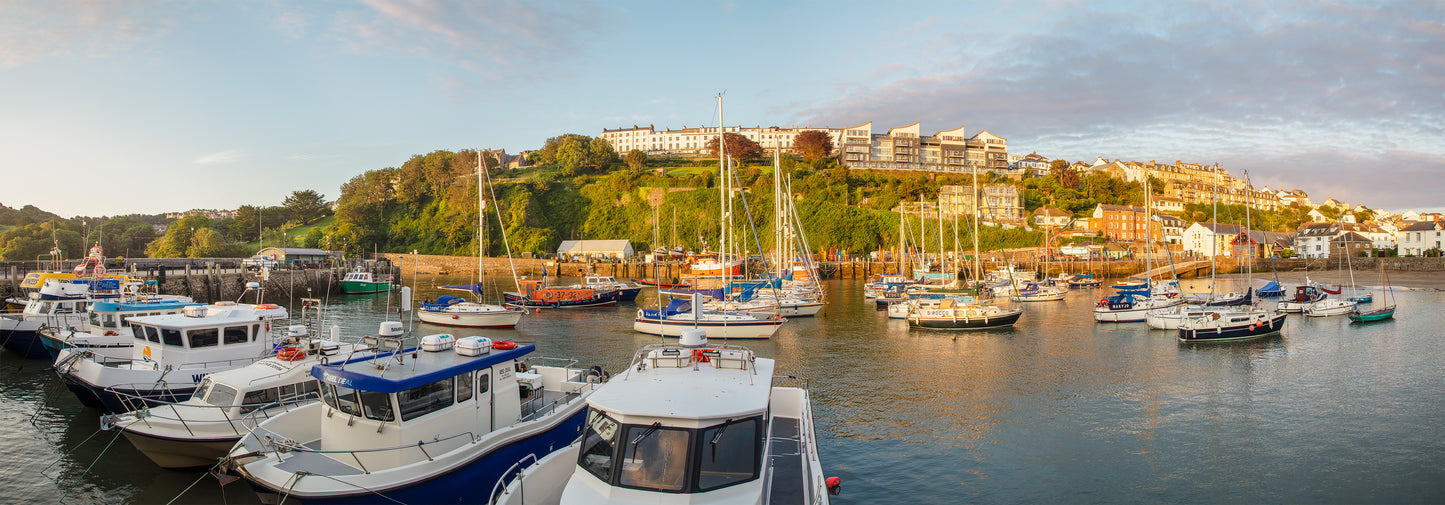 Ilfracombe Harbour Panorama