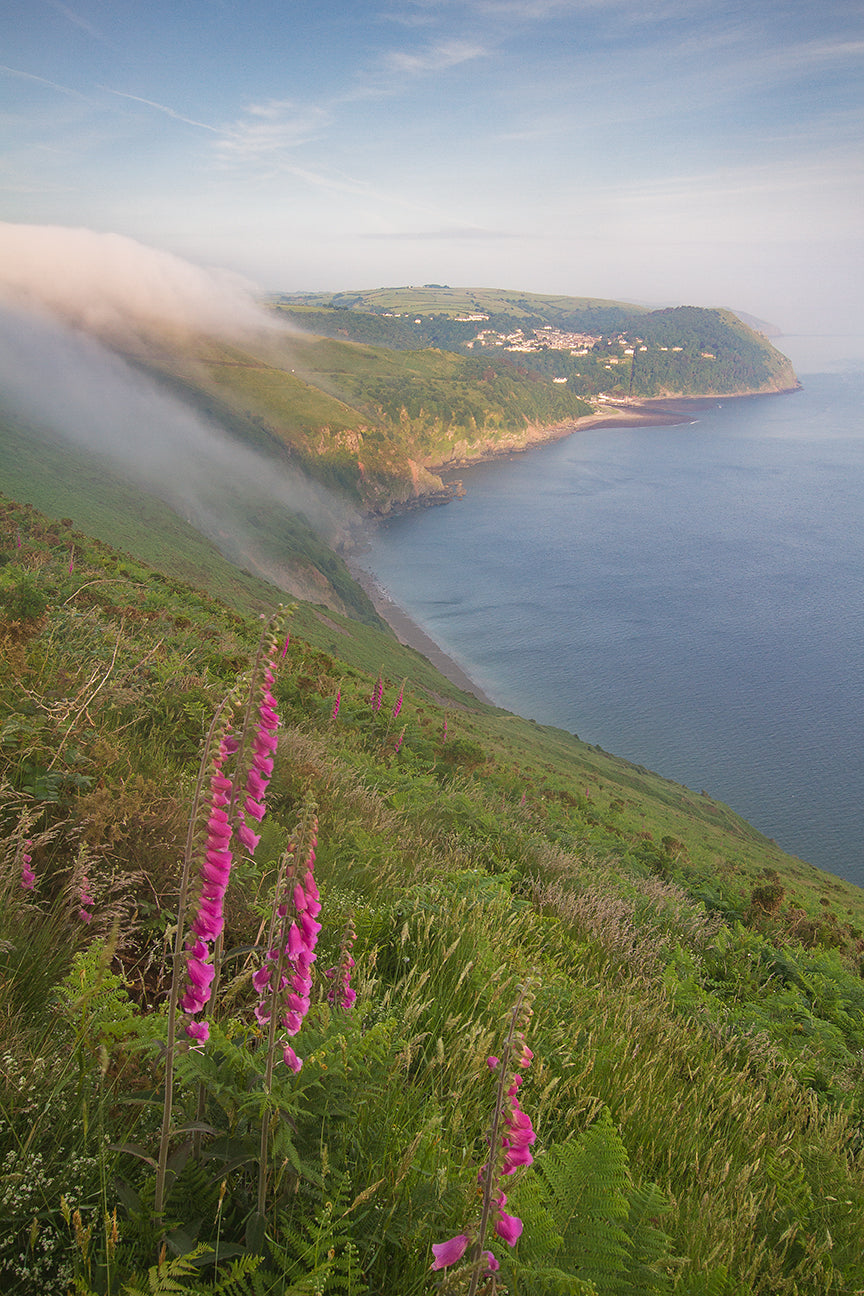 Lynmouth Spring
