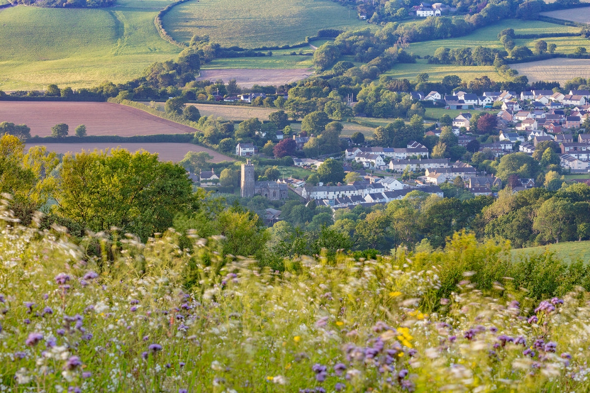Codden Hill Towards Landkey