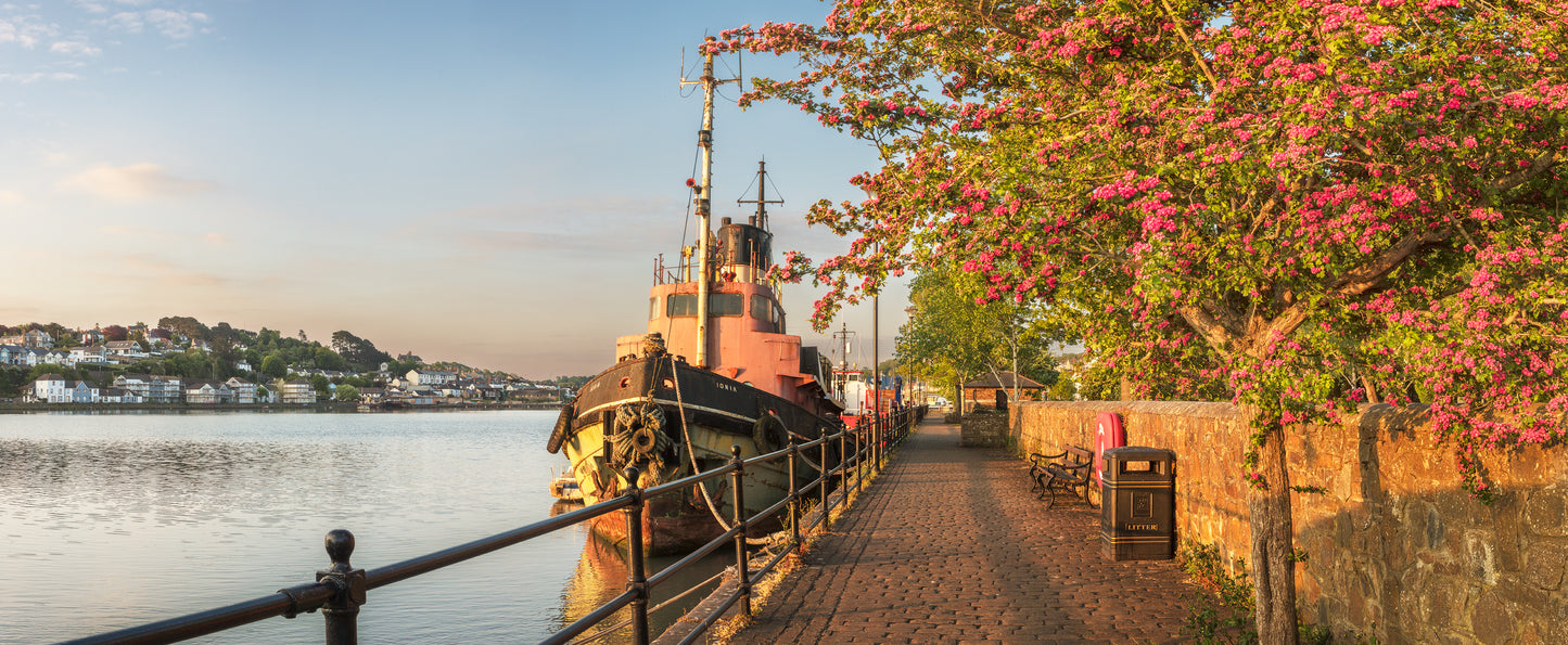 Bideford River Walk Panorama
