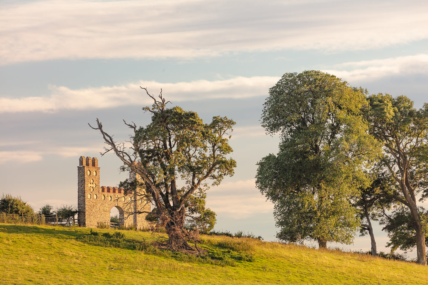 Barnstaple Folly Summer