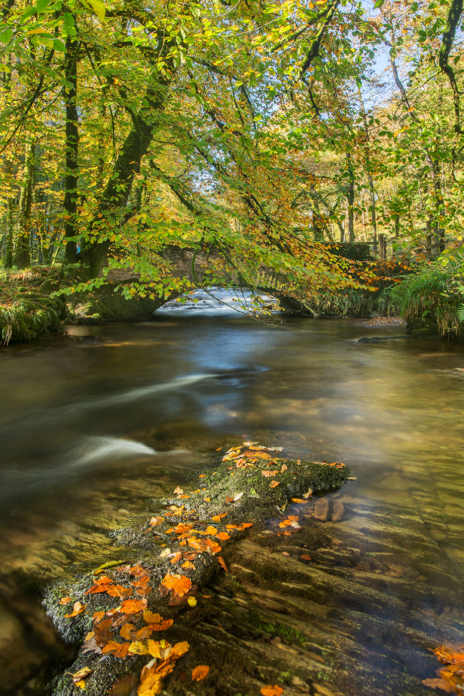 Castle Bridge Autumn