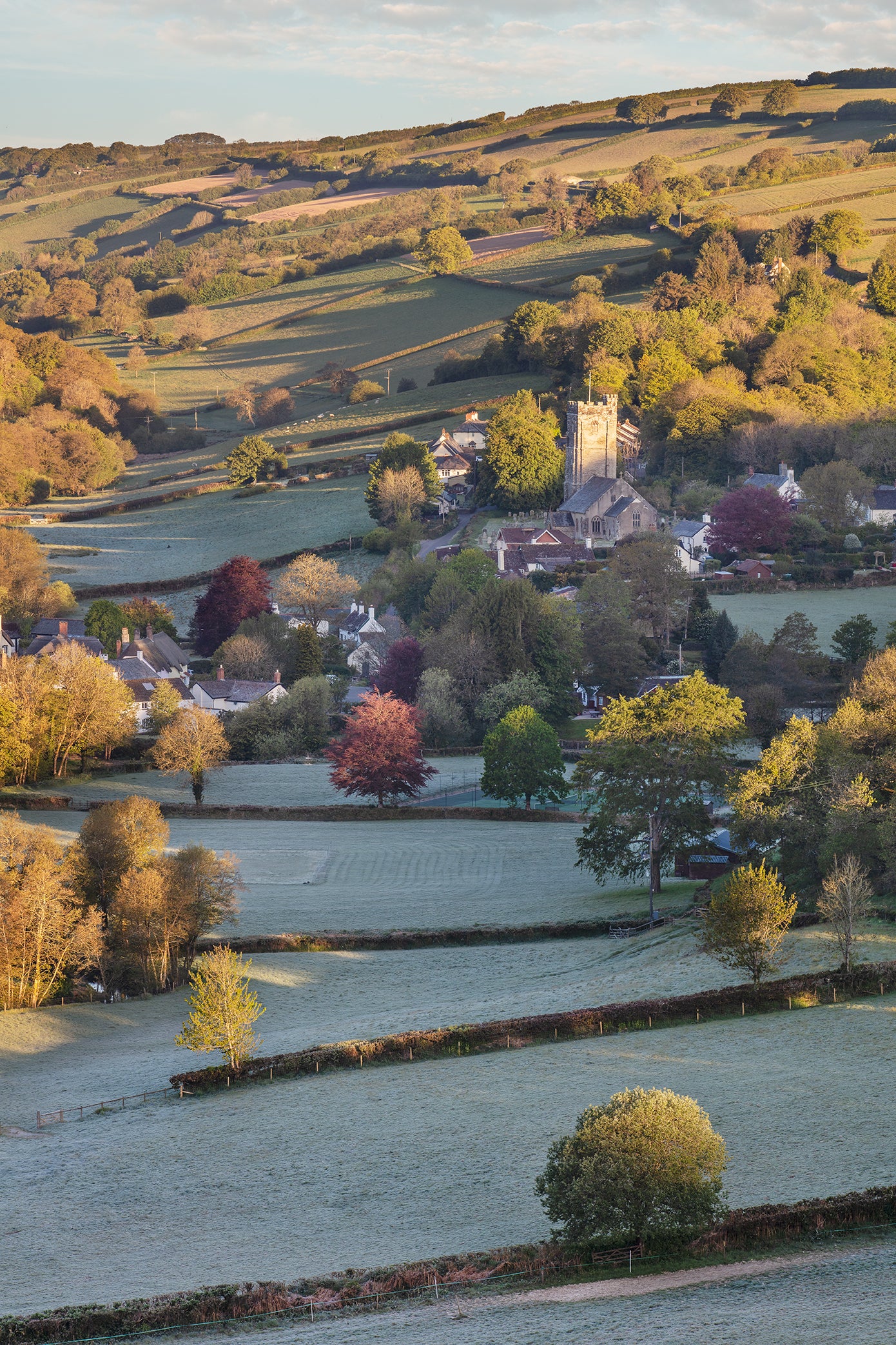 Winsford Spring Frost