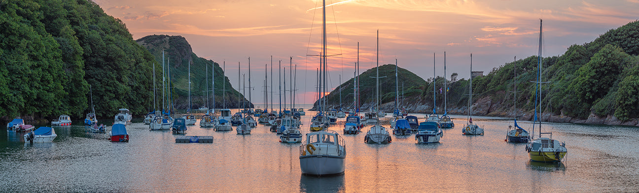 Watermouth Cove Panorama