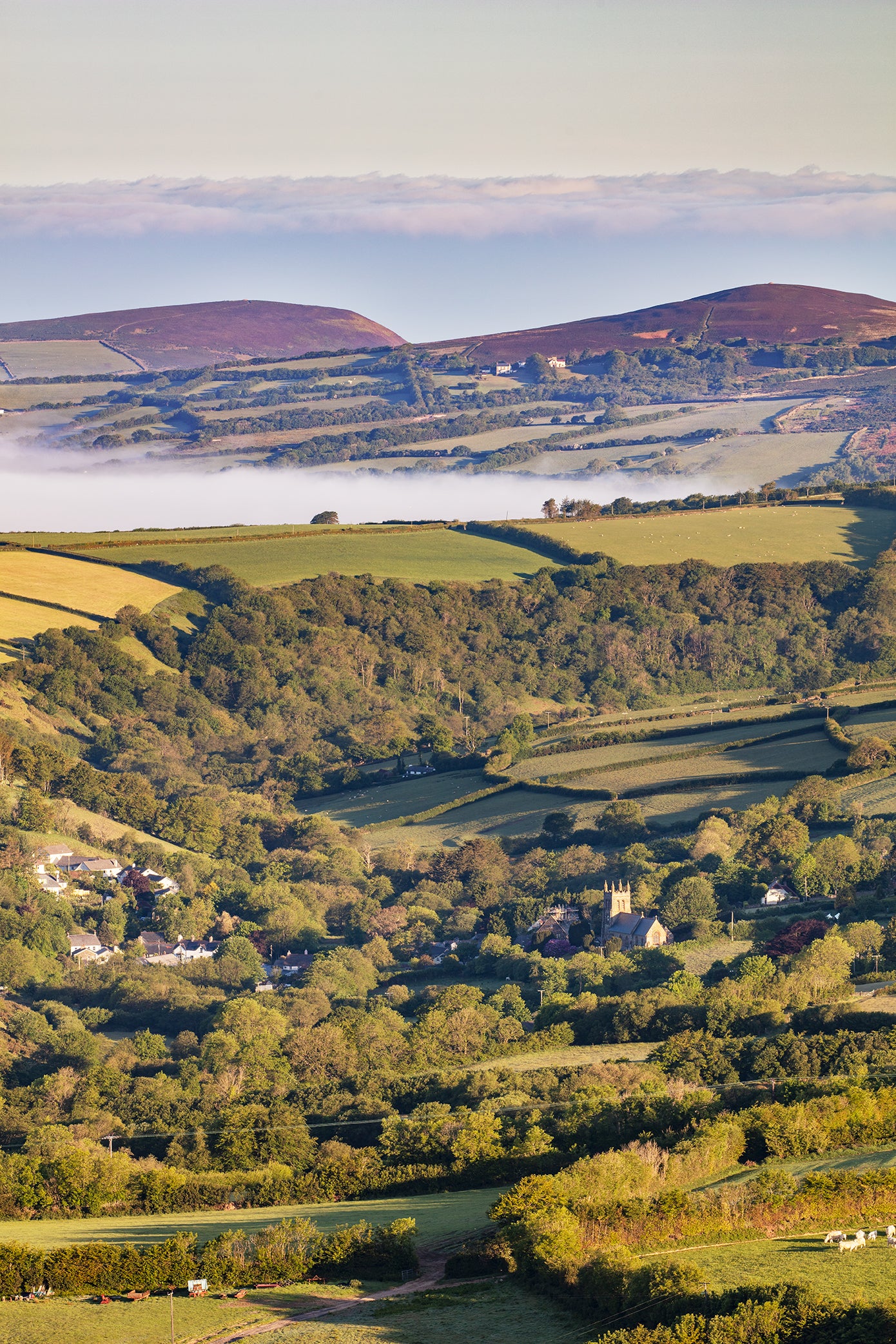 Parracombe Mist