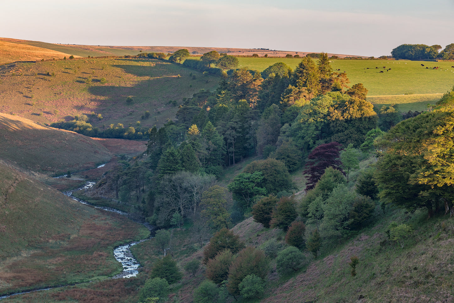 Simonsbath Spring