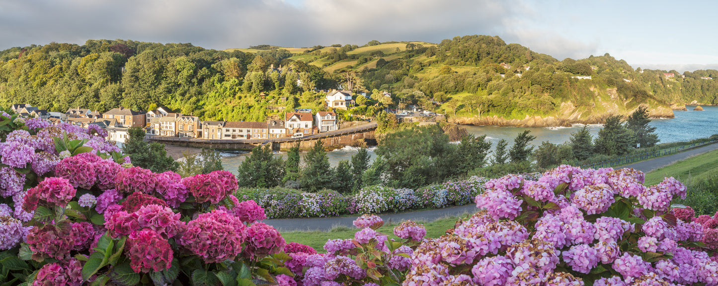 Combe Martin Wild Flowers Panorama