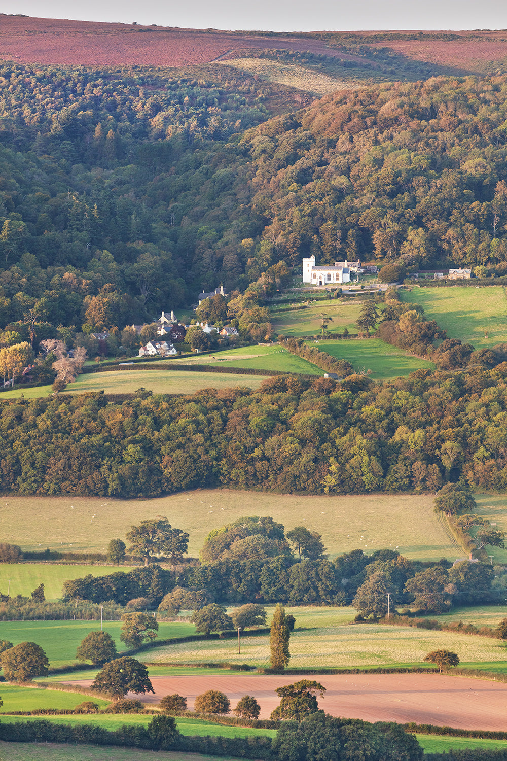 Porlock Vale with Selworthy