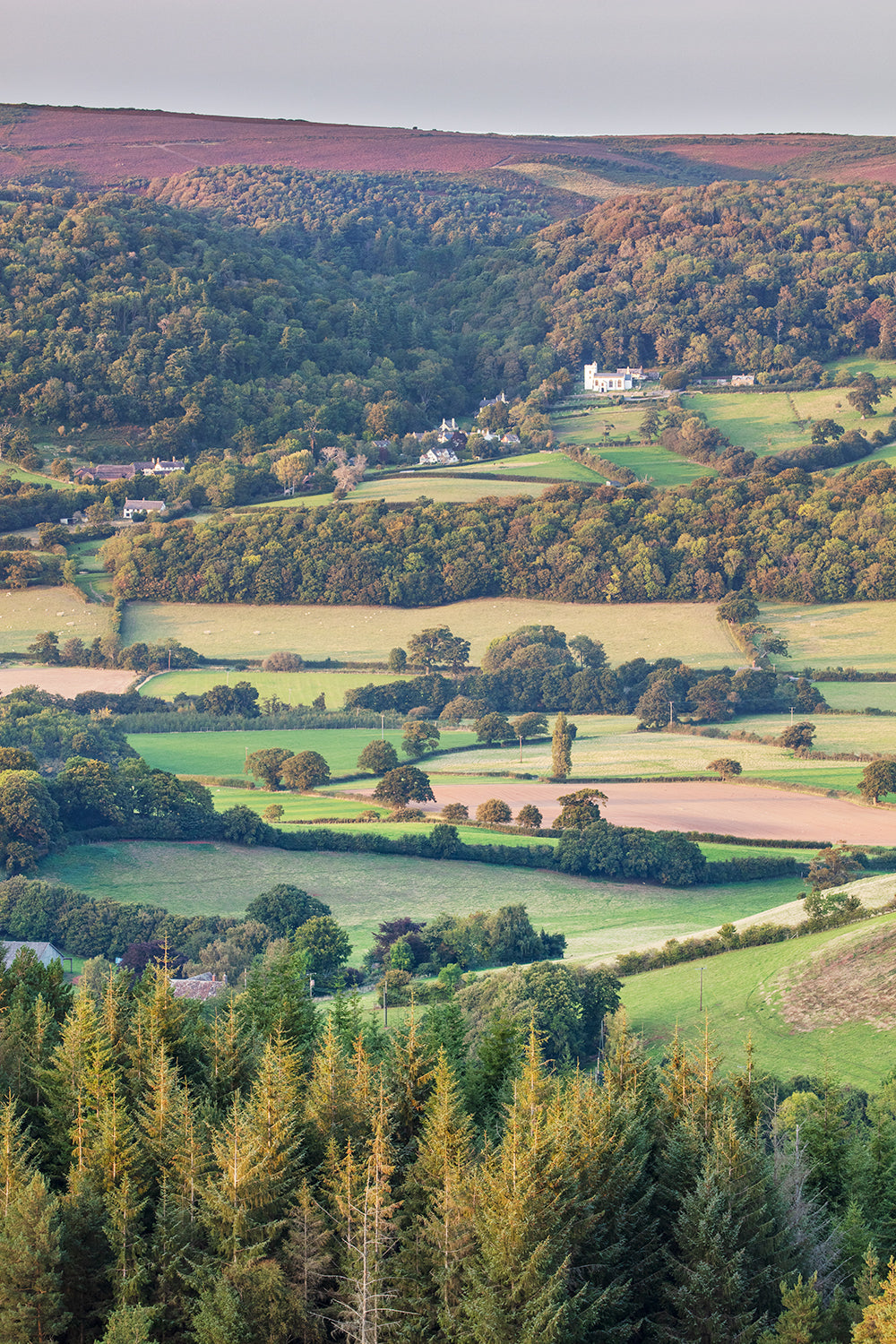 Porlock Vale with Selworthy
