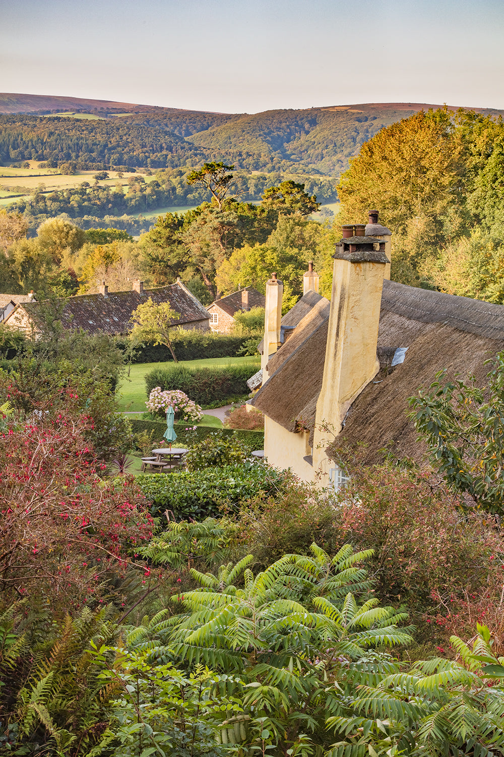 Above Selworthy Cottages