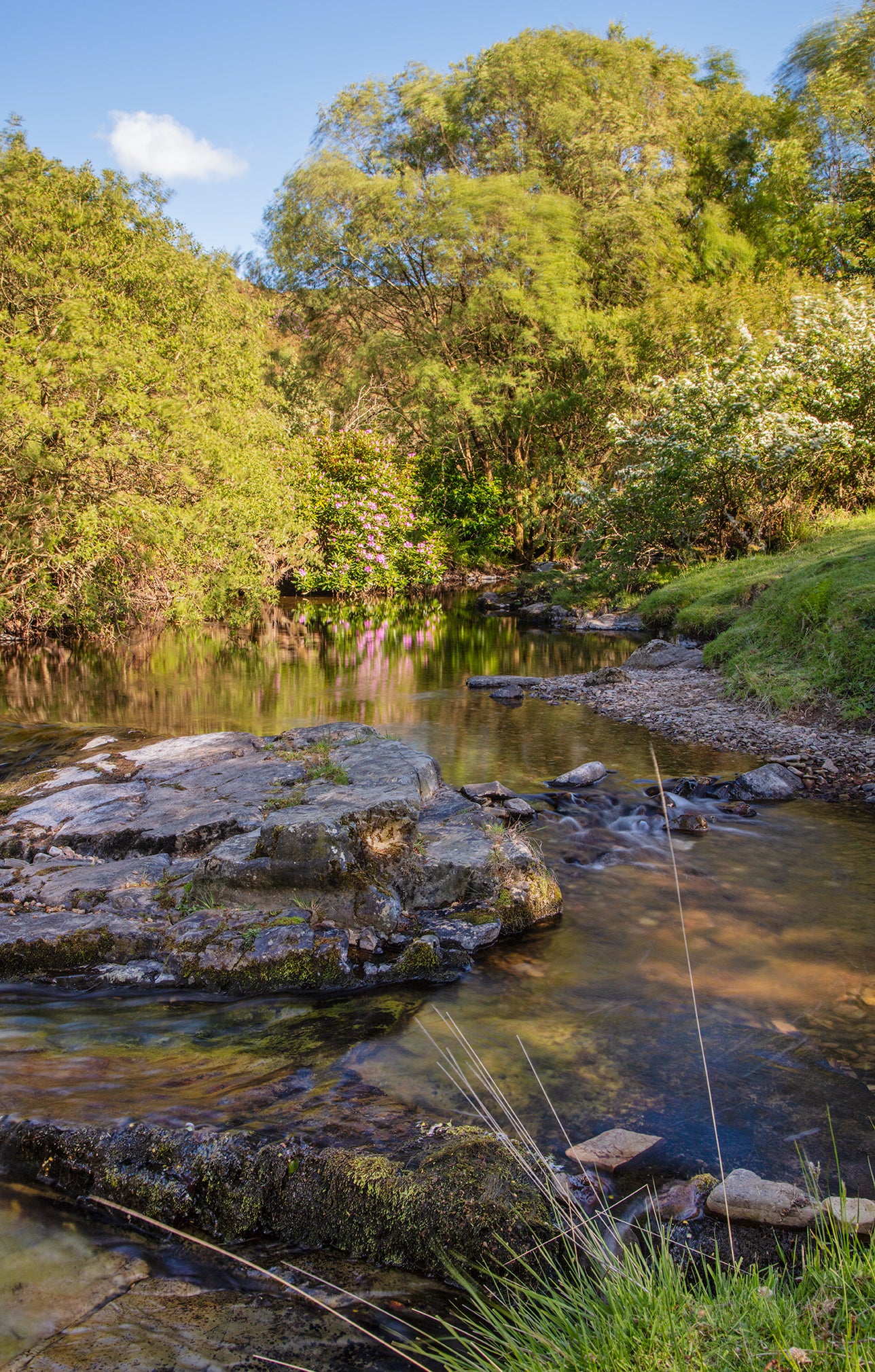 Badgworthy Water Exmoor
