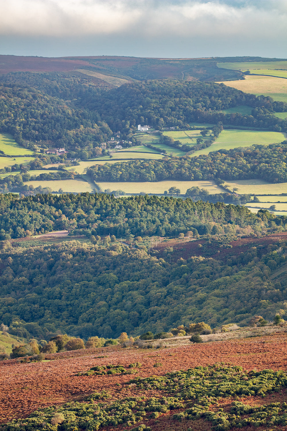 Selworthy from Dunkery Beacon