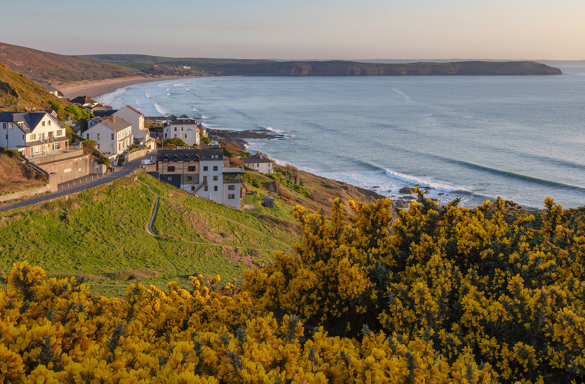 Woolacombe Gorse