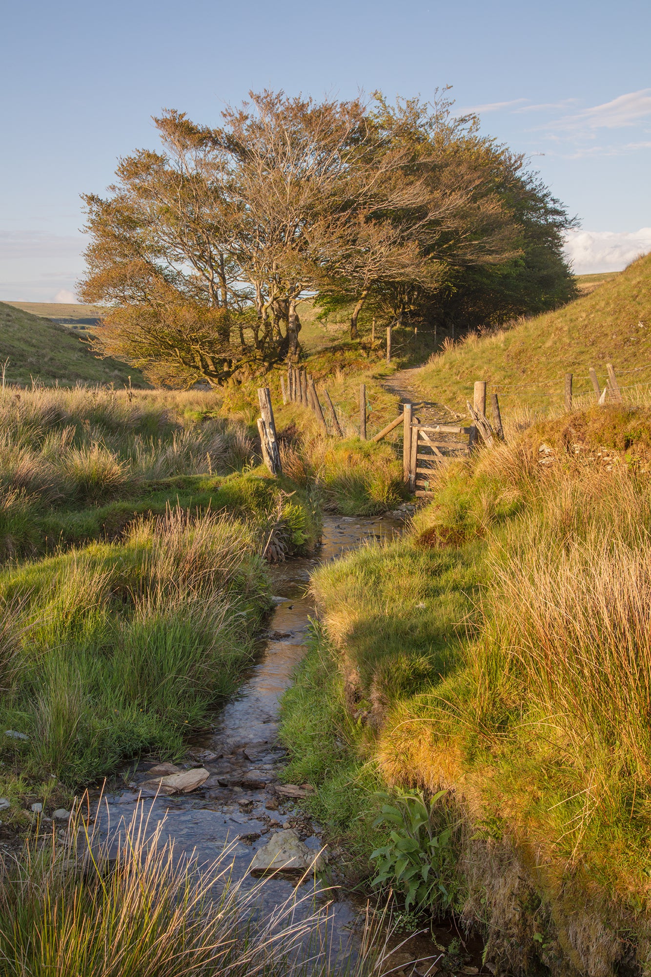 Moles's Chamber Exmoor