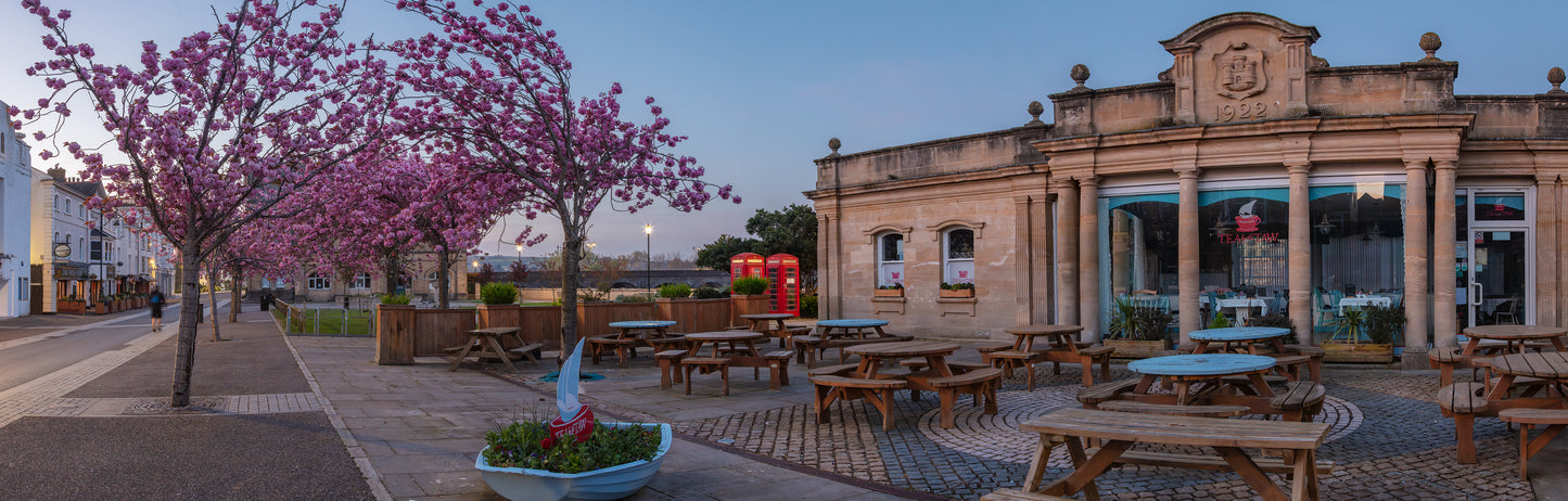 Barnstaple Cherry Blossom Panorama