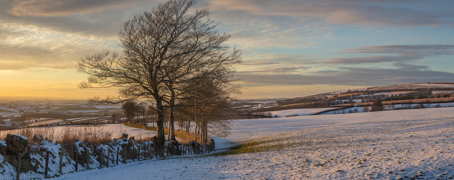 Exmoor Winter Sunset Panorama