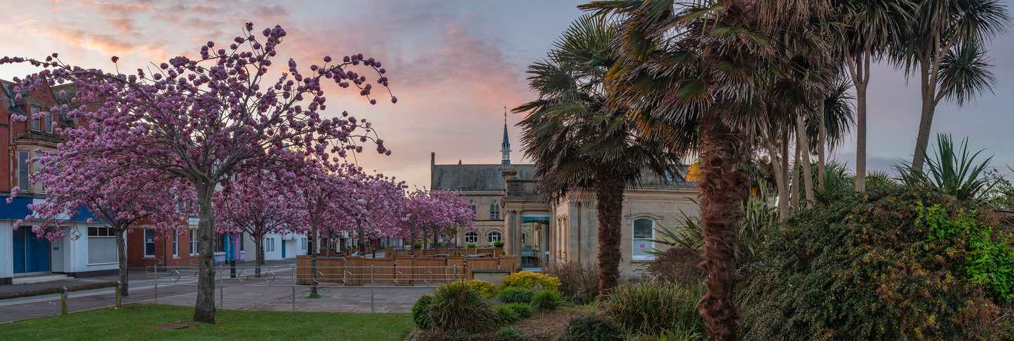 Barnstaple Cherry Blossom Sunrise Panorama