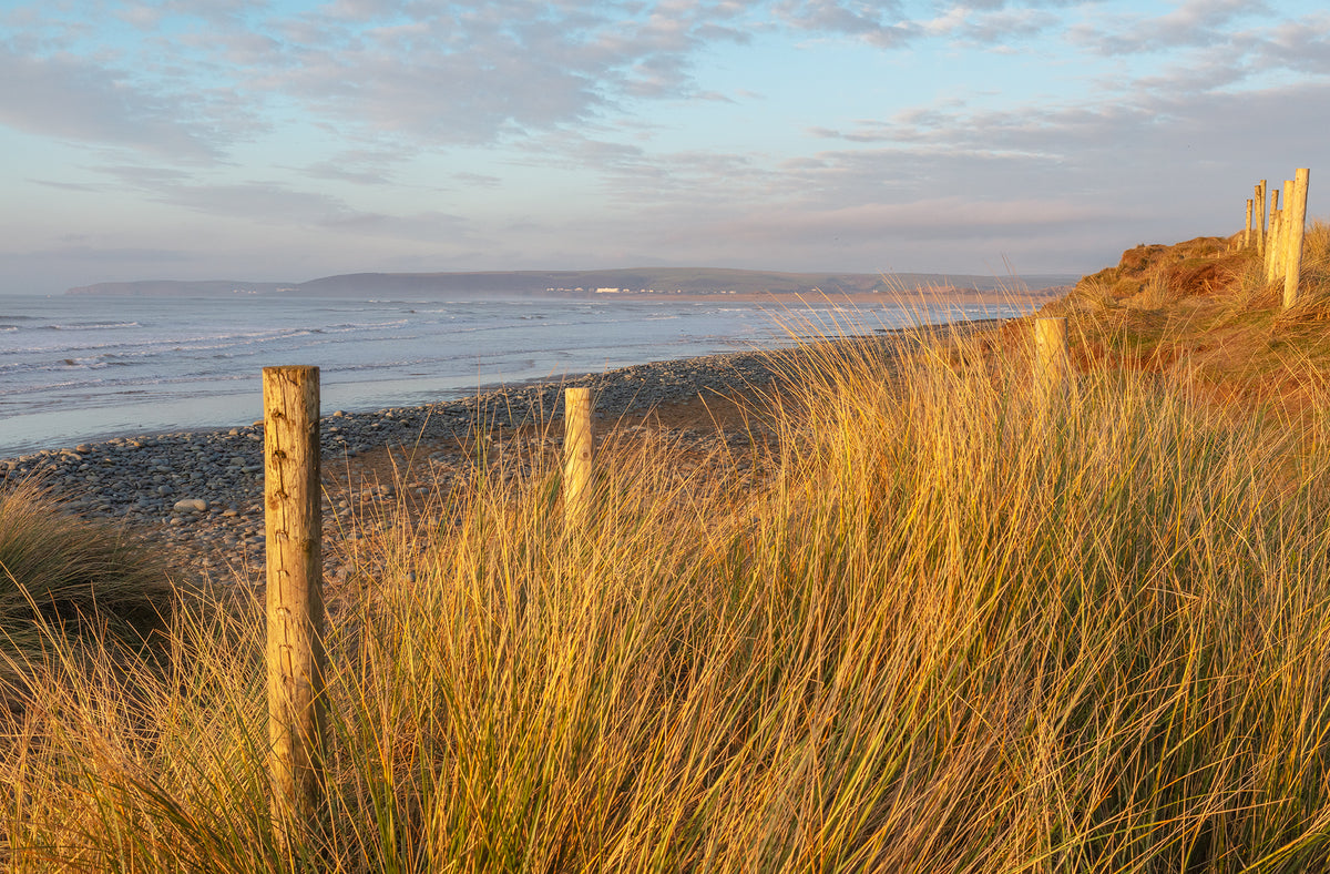 westward Ho