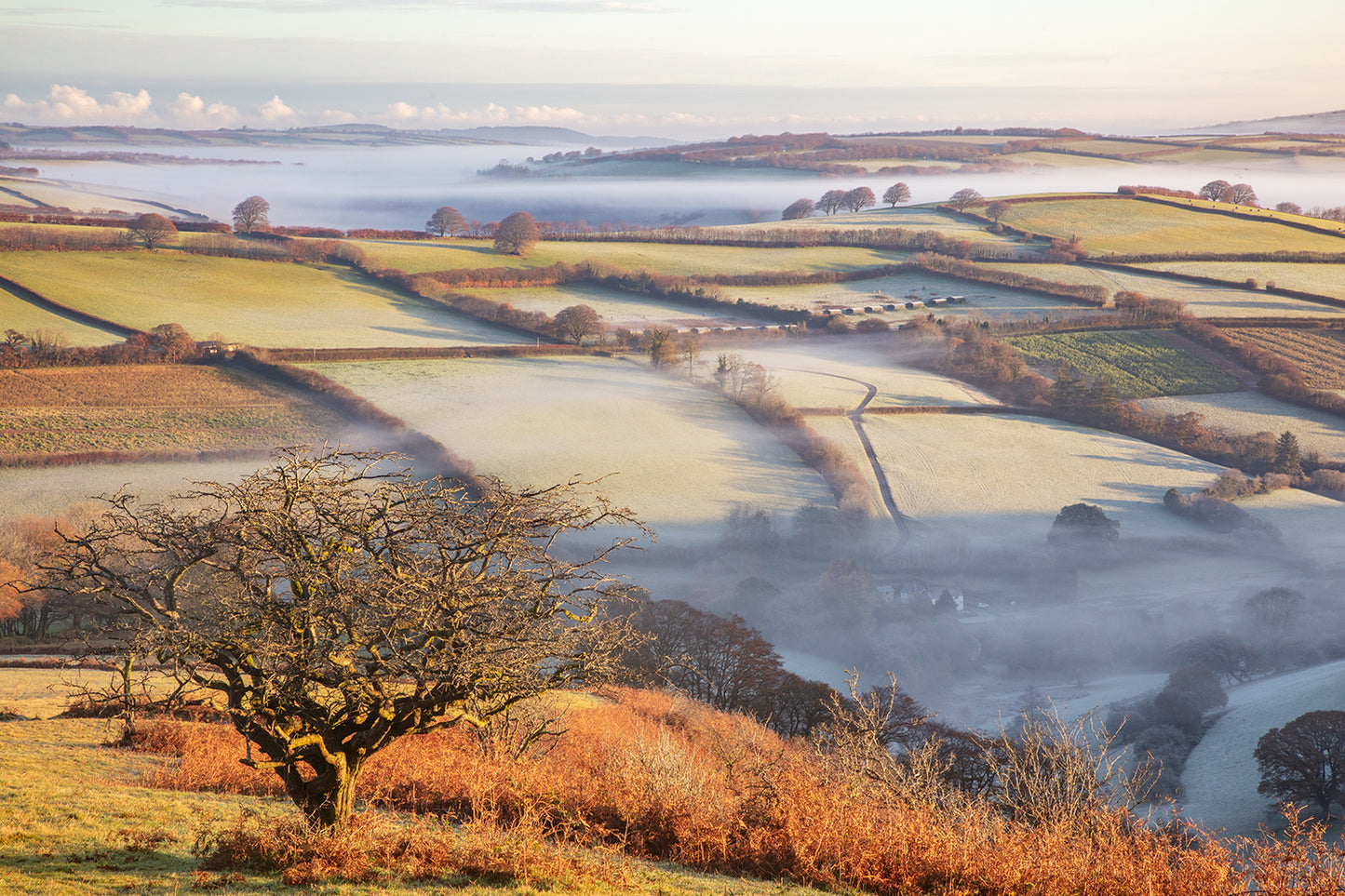 Autumn Punchbowl