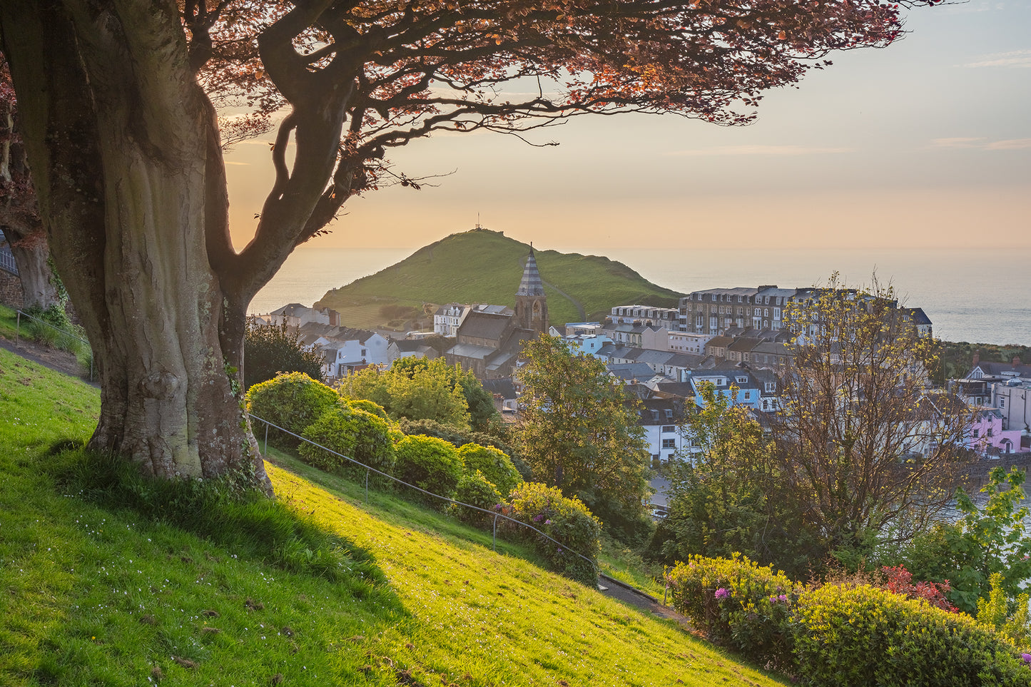 Ilfracombe Summer