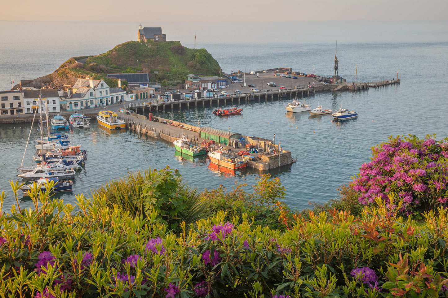 Ilfracombe Summer Flowers