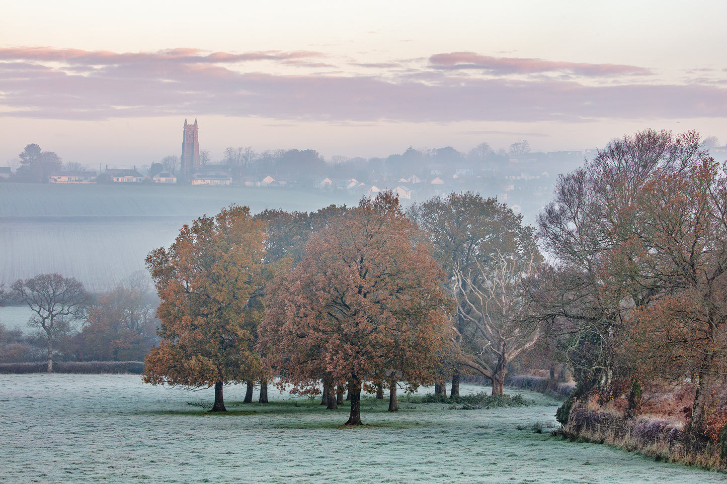 Bishop's Nympton Autumn