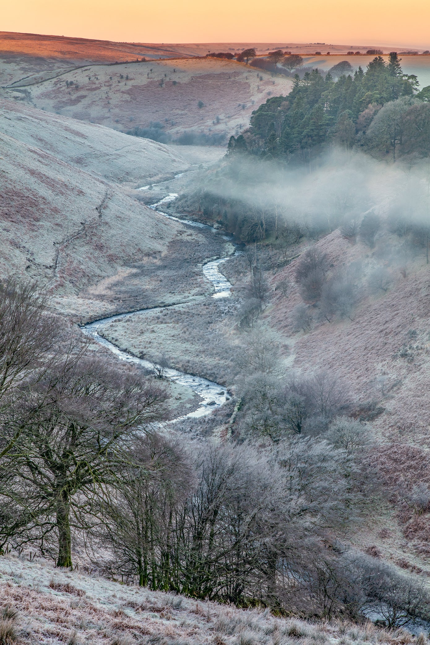 Simonsbath Winter Frost
