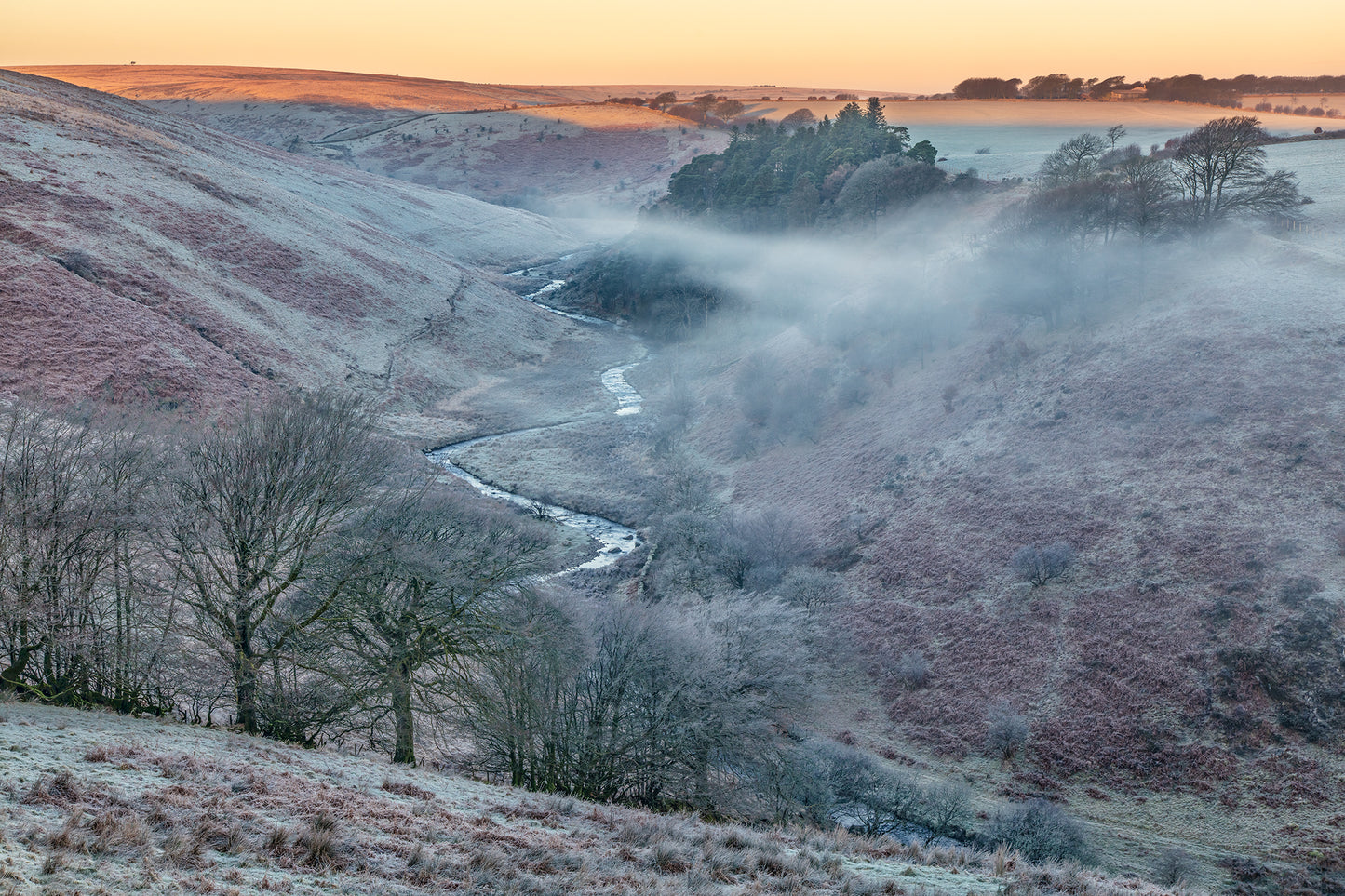 Simonsbath Winter Frost