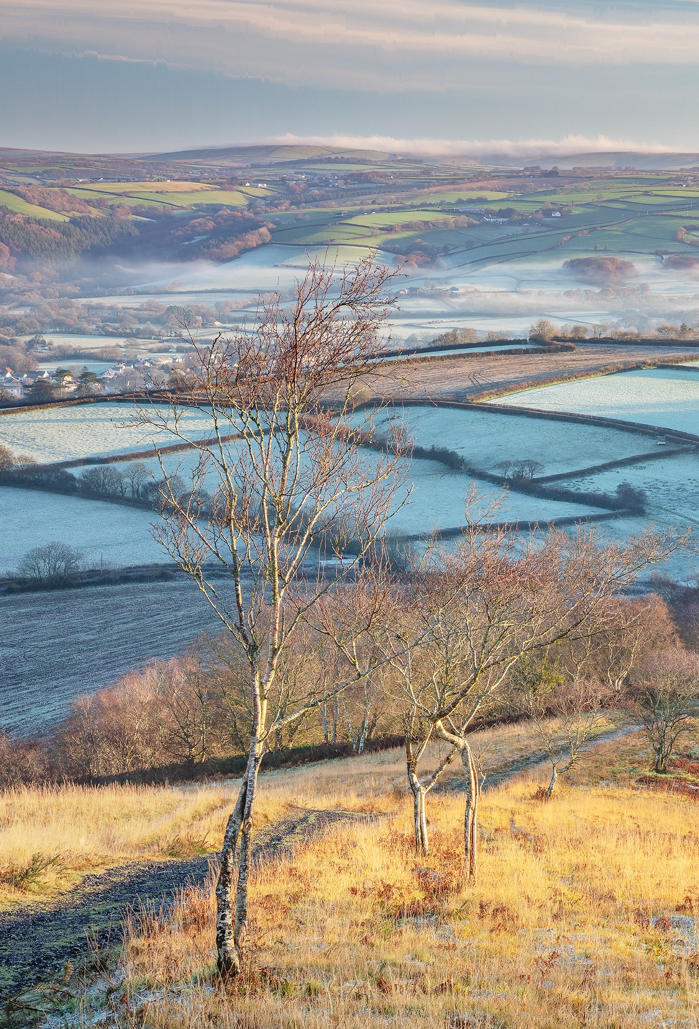 Codden Hill Sunrise