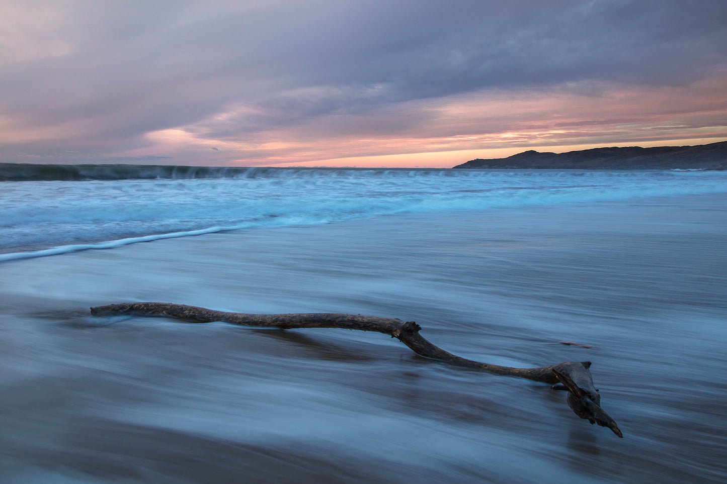 Woolacombe Beach Driftwood