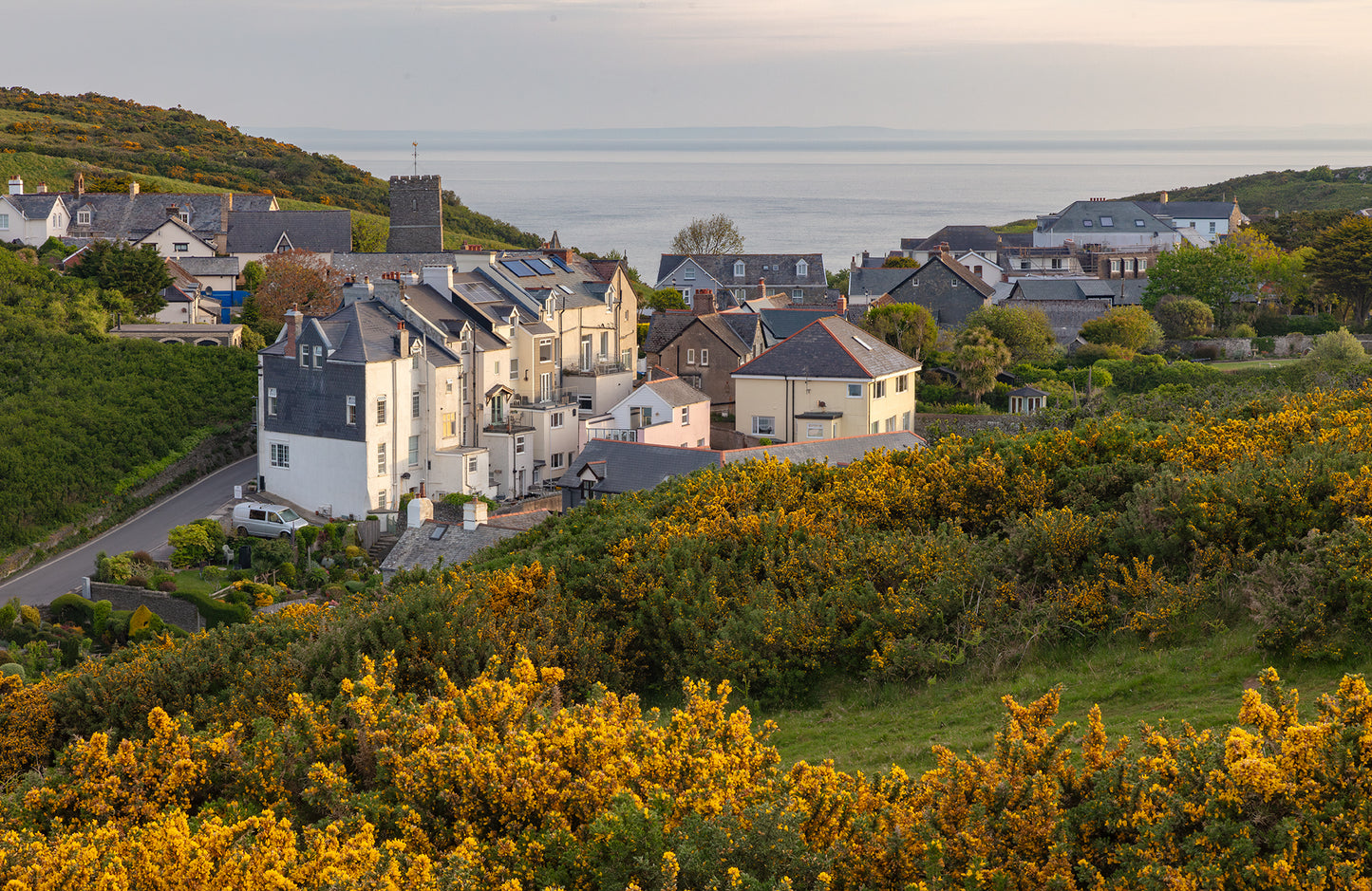Mortehoe Spring Gorse