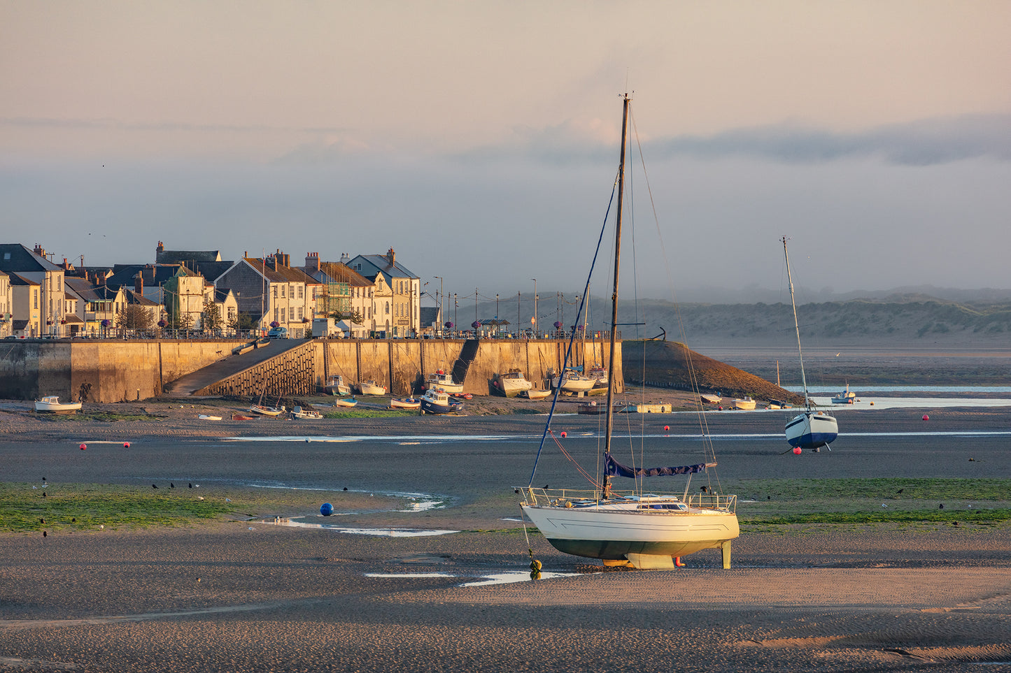 Appledore LowTide