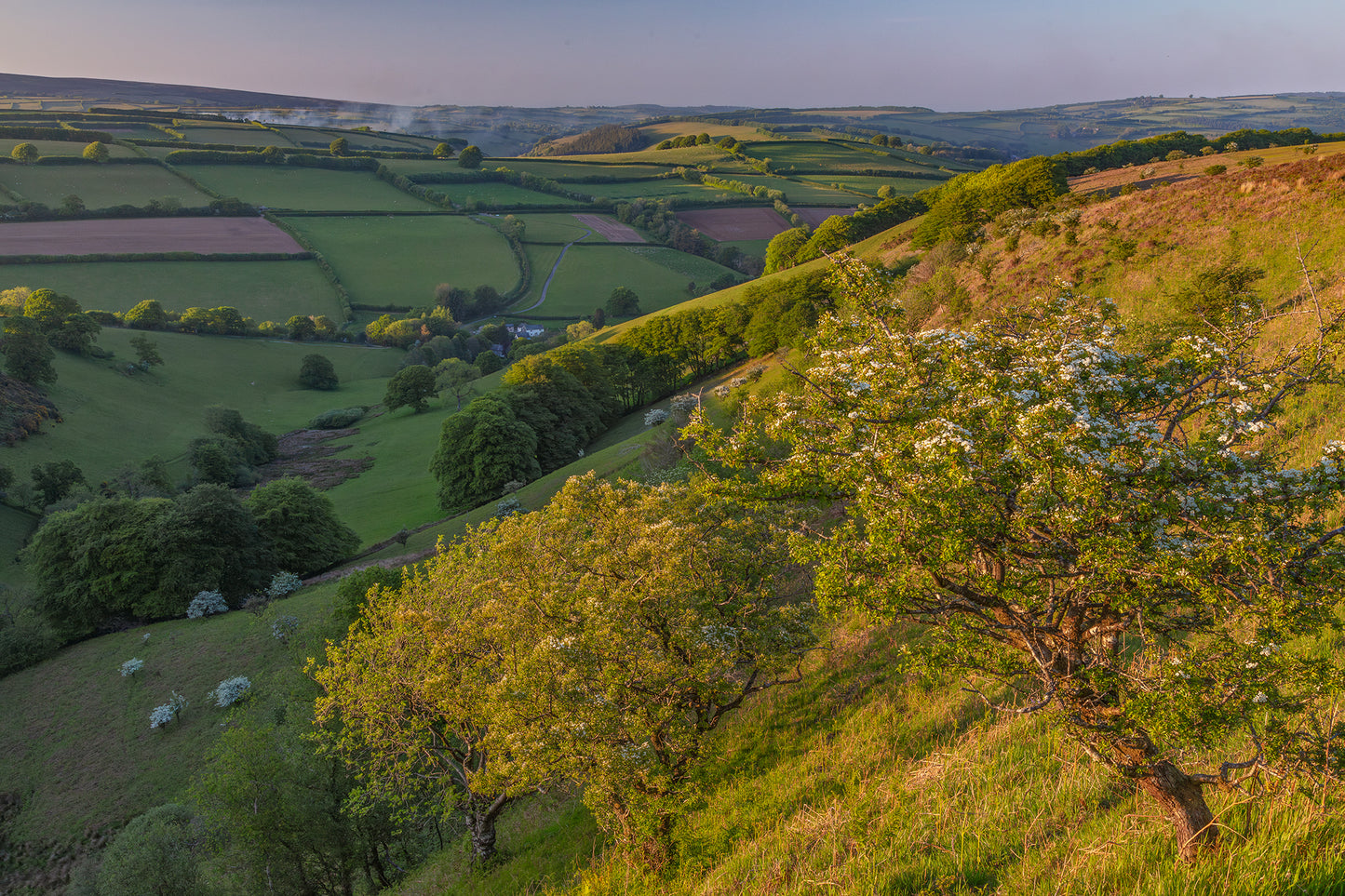 Winsford Hill Punchbowl