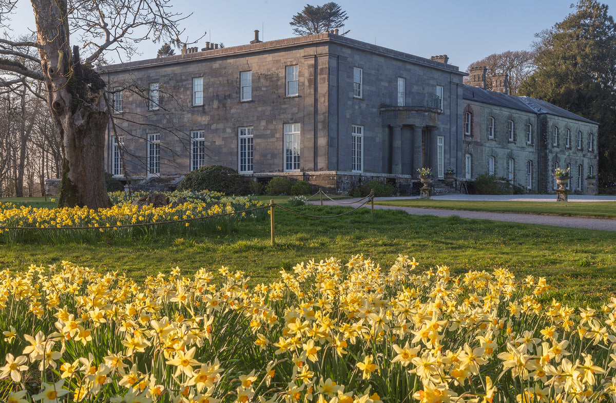 Arlington Court