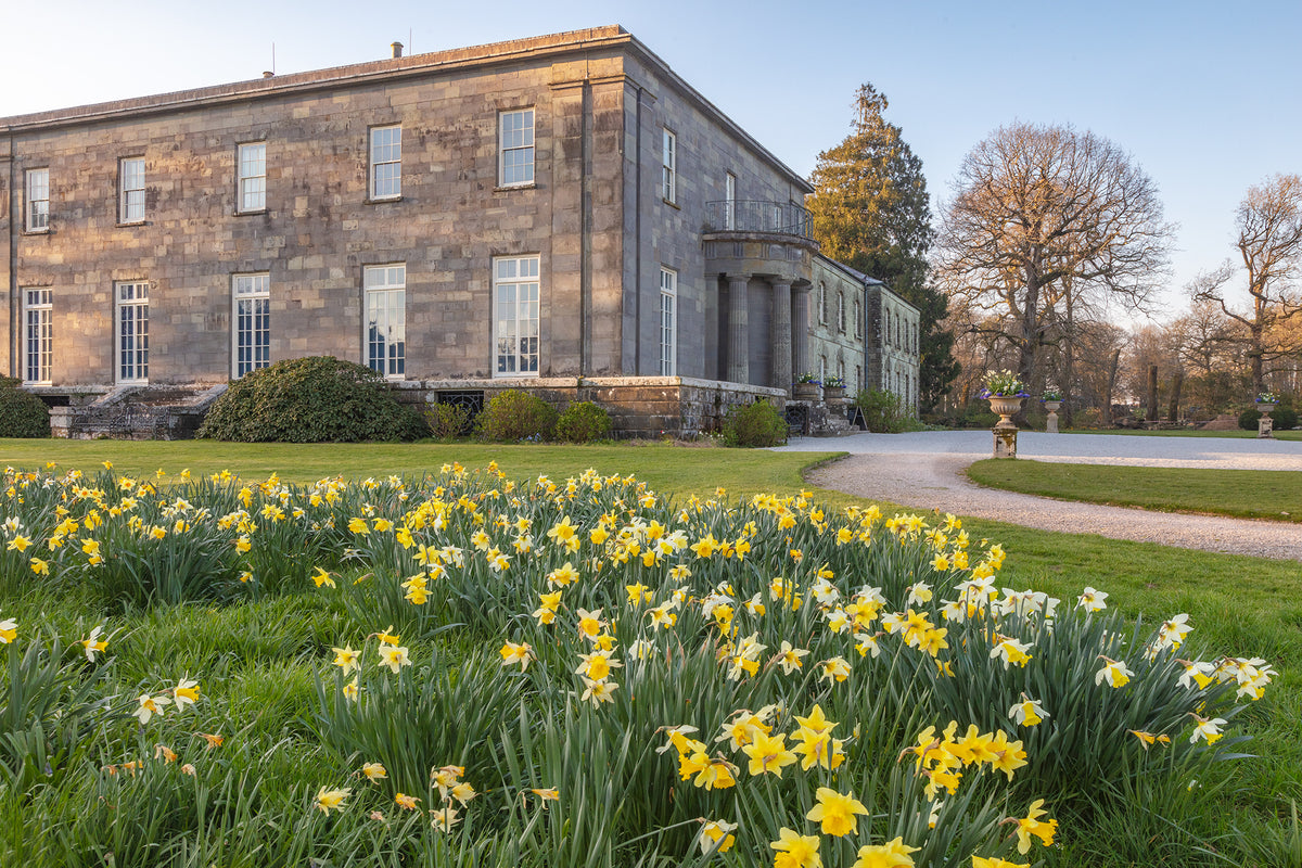 Arlington Court