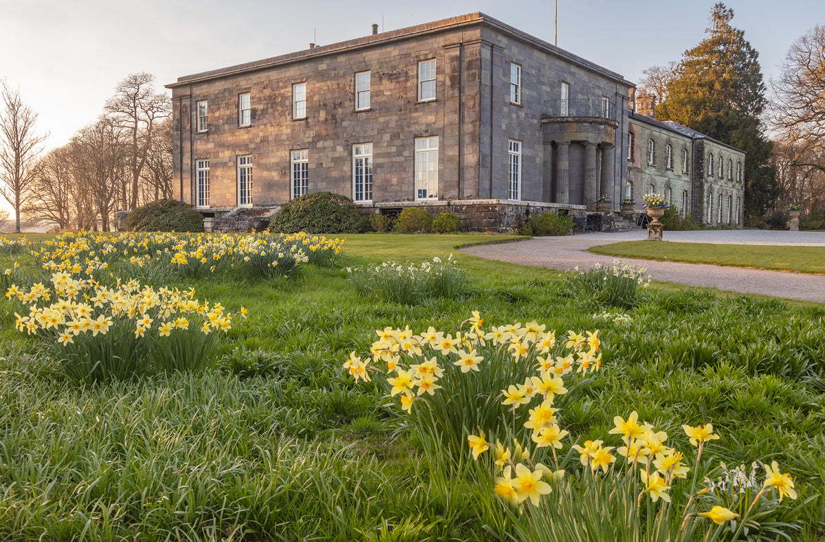 Arlington Court