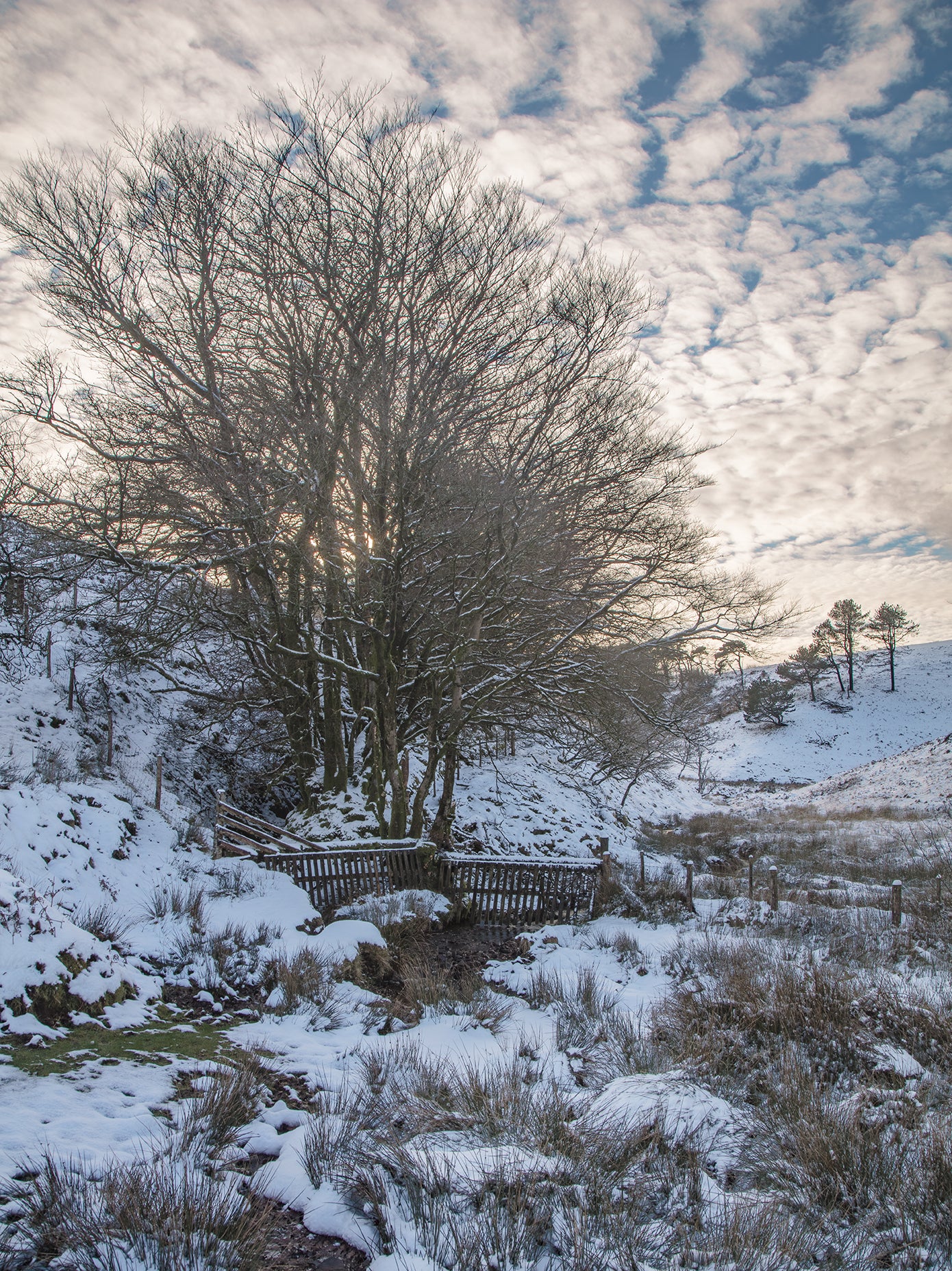 Hurdle Down Porlock Common Snow