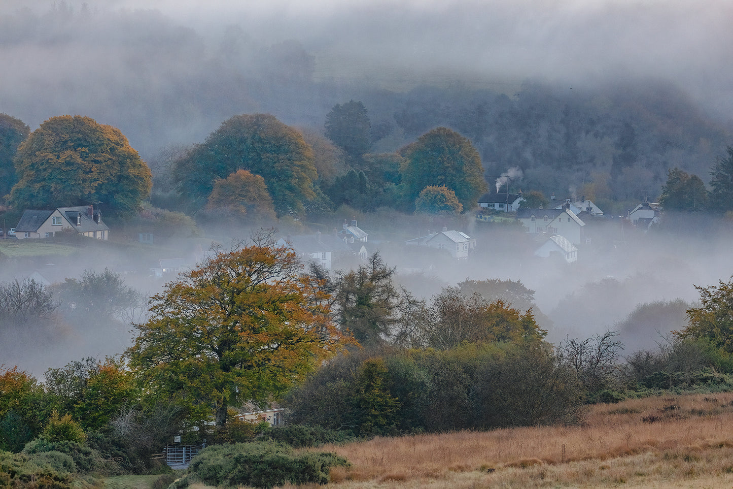 Withypool Mist