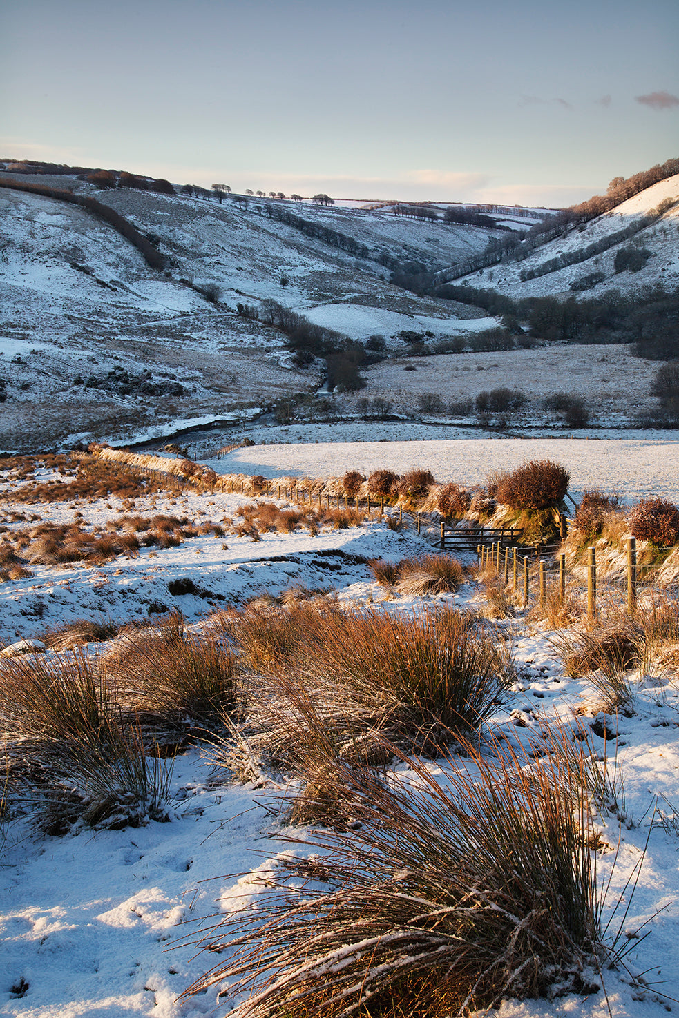 Sherdon Hutch Winter