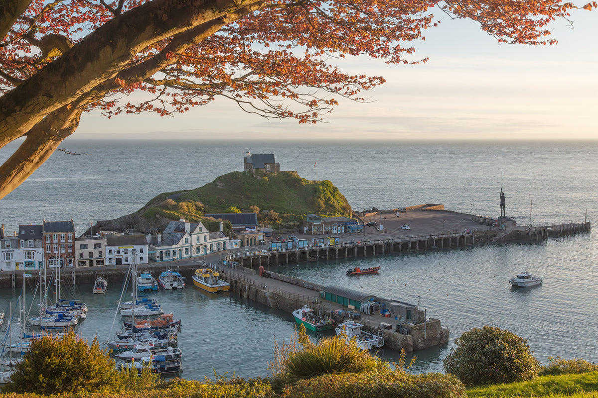 Ilfracombe Harbour Spring