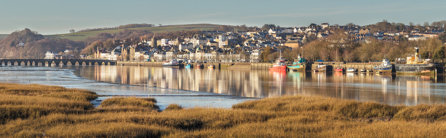 Bideford Winter Panorama